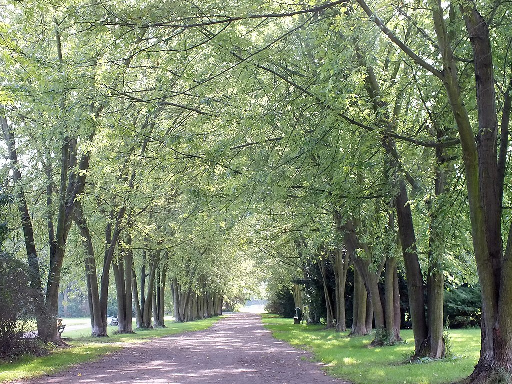 Lößnig von oben  Leipzig-Lößnig mit Stauteich und Rundling
